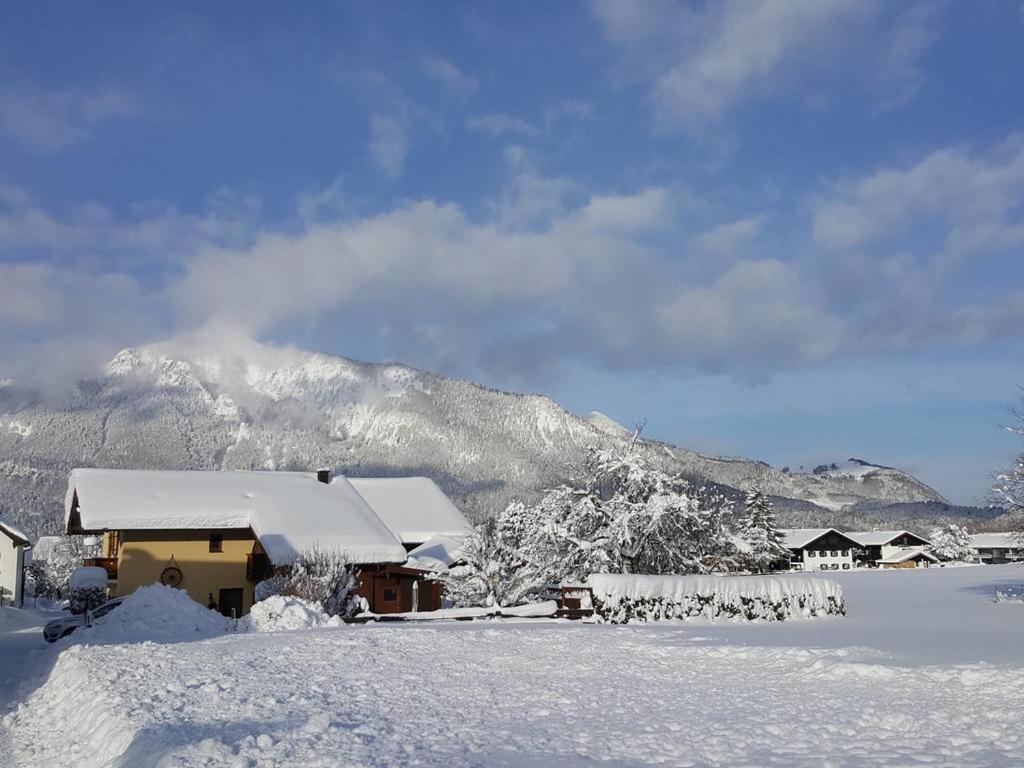 Chiemgauferienwohnungen - Wanderlust Und Alpenrose Unterwössen Exteriör bild