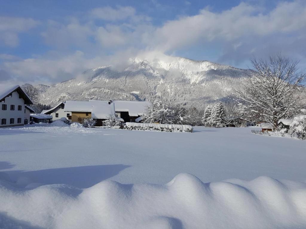 Chiemgauferienwohnungen - Wanderlust Und Alpenrose Unterwössen Exteriör bild